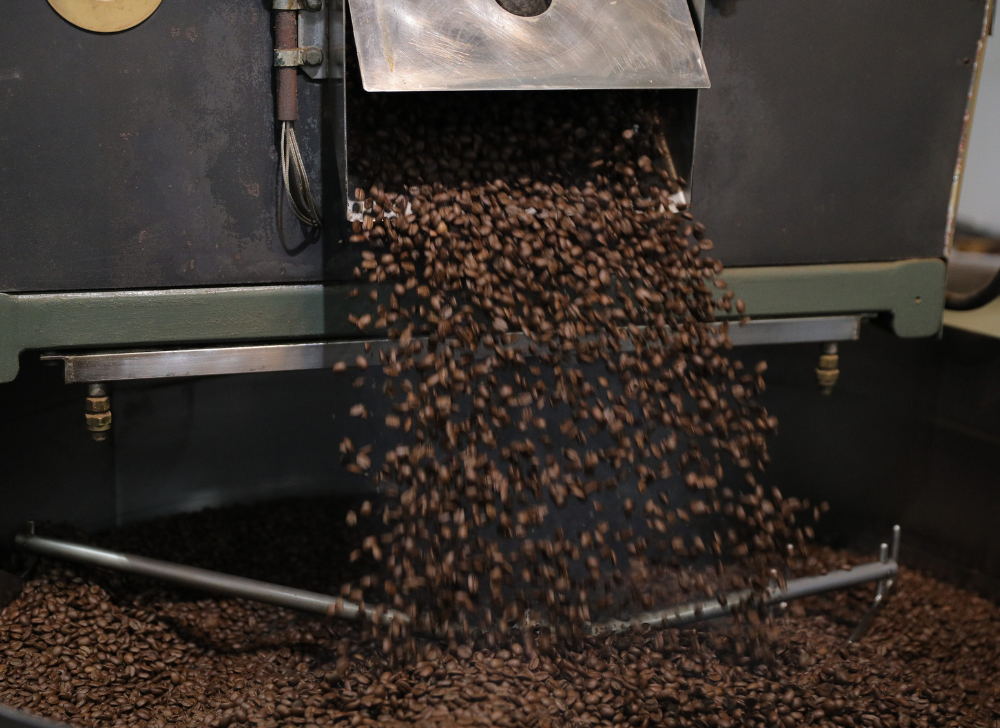 Freshly roasted coffee beans pouring out of a roasting machine